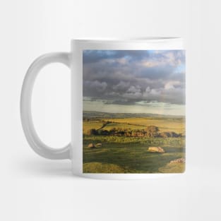 Summers Evening on Dartmoor Mug